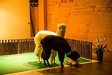 宝可梦25周年纪念歌曲 《可梦》水墨画MV公开